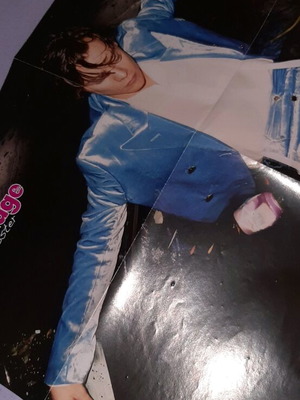 Harry Styles and Halsey poster like new, medium to large size