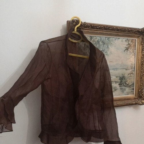 Zara sheer brown organza shirt like new, size Medium