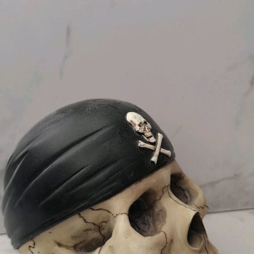 Pirate Skull Coin Bank used