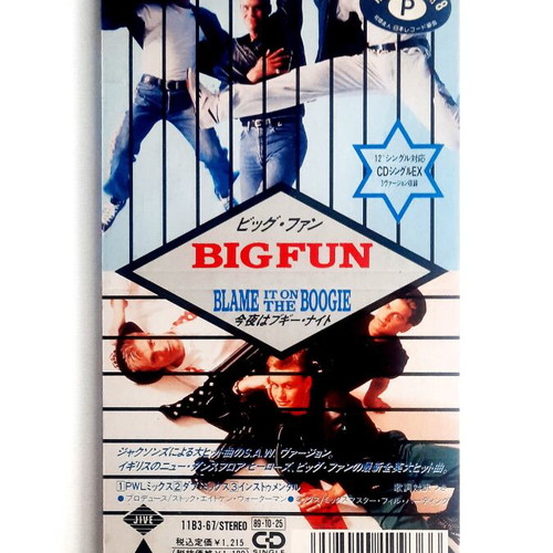 Big Fun Blame It On The Boogie 3" Mini CD Single 1989 like new