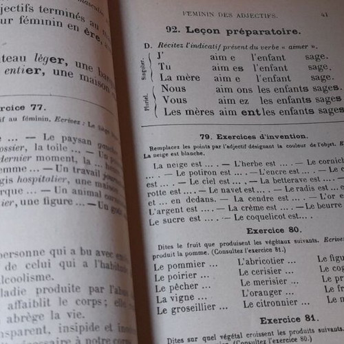 L'Année Préparatoire de Grammaire 1933 French grammar book like new
