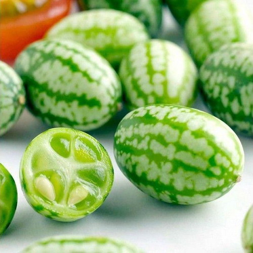 Cucamelon Mexican Mini Melon Cucumber Seeds, rare climbing plant