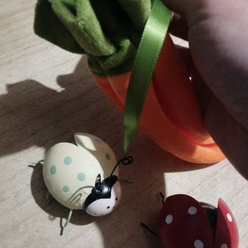 Spring decorations used, pack with 2 metal ladybugs and carrot pouch