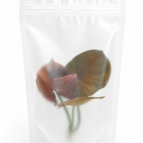 Zigonium Rose or Green Cutting New, Packaged