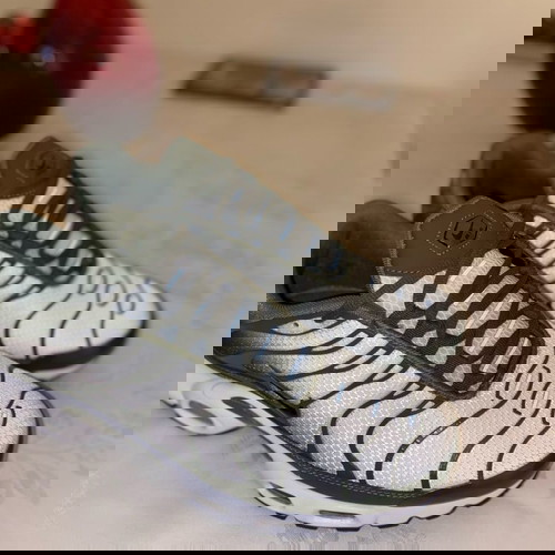 nike air max plus tn