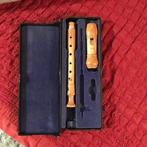 Ariel recorder used from rosewood with free book