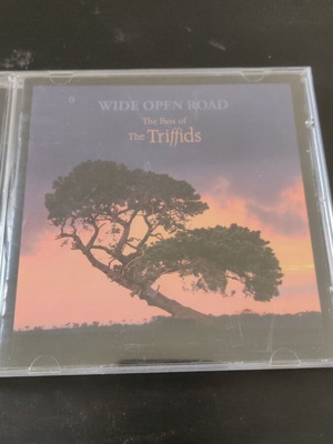 Triffids The Best Of CD like new, rock
