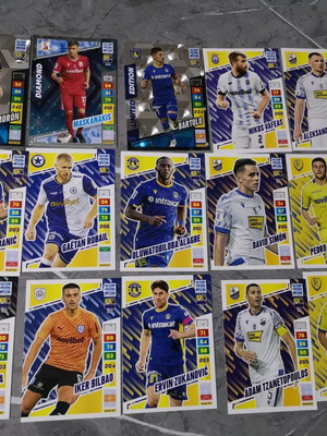 Panini cards new