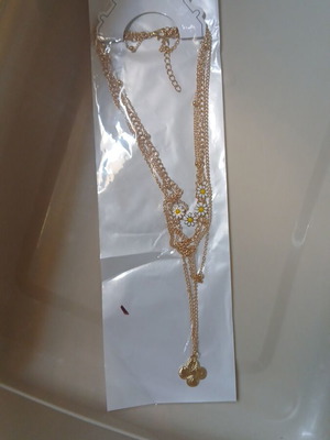 Gold necklace with daisies