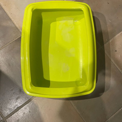 Cat litter box new