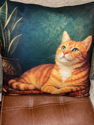 Pillow 40x40 unused with filling and zipper