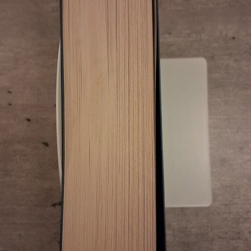 Camilla Lackberg Moirologitra mystery novel