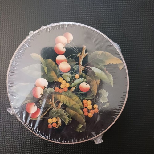 Coasters set of 6 new