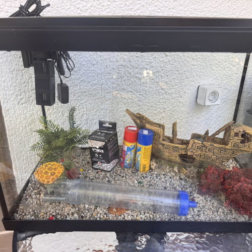 60L aquarium with filter and decorations