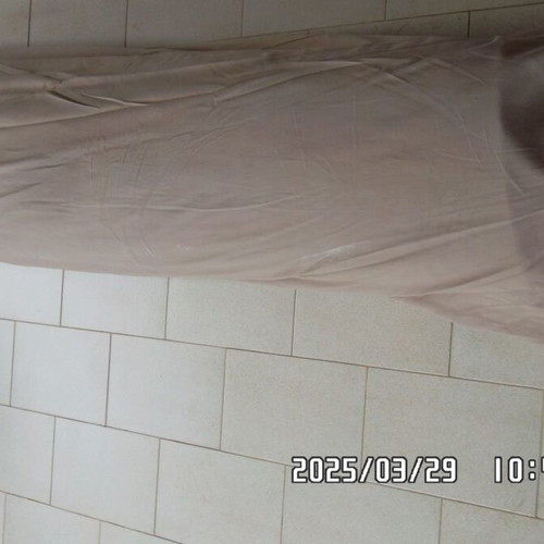 Wool rug thick used 3 m x 1.95 m with cover