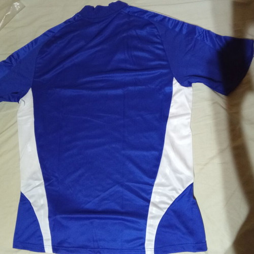 Schalke team appearance 2008-2009