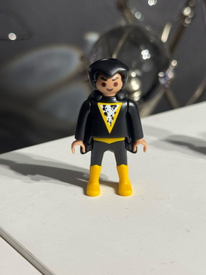 Playmobil in excellent condition