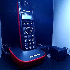 Panasonic/Wireless Phone