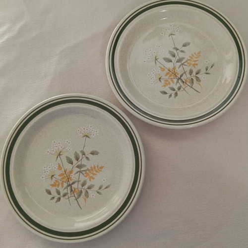 Royal Doulton Will O'The Wisp vintage plates set of 2, 17cm