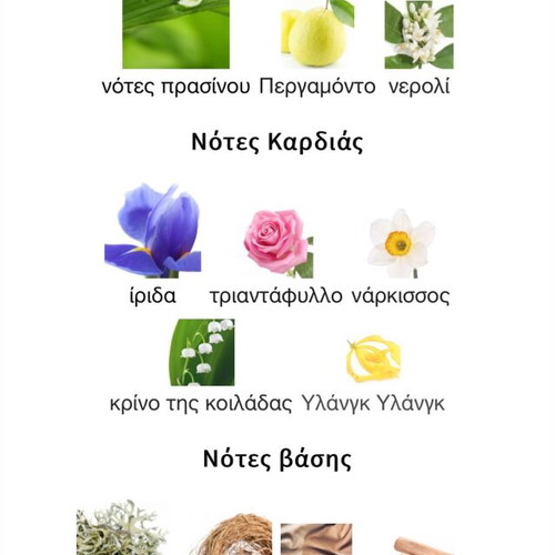 Chanel No 19 Eau de Parfum 100 ml σαν καινούργιο