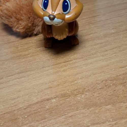 Squirrel miniature used