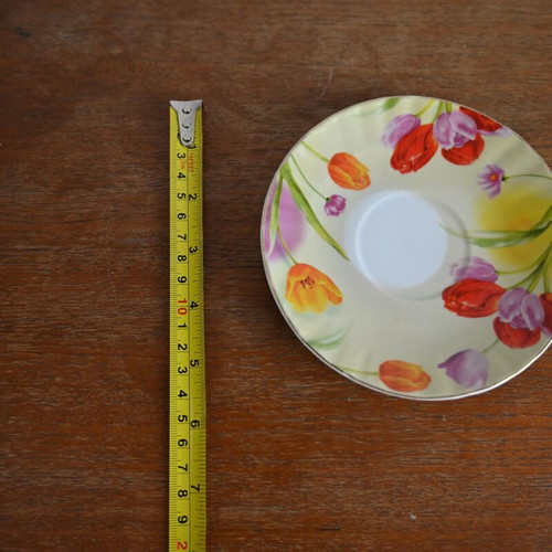 Porcelain plate set used with handpainted tulip design, 8 pieces