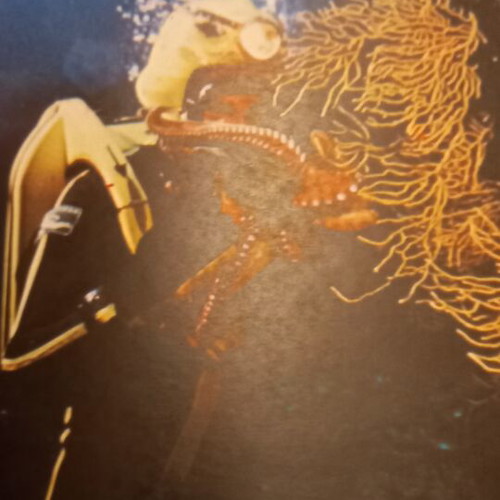 The Underwater Discoveries of Jacques-Yves Cousteau book set new