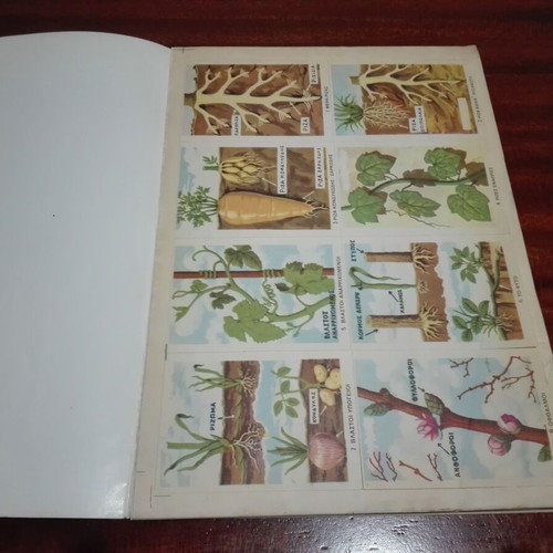 Grade D Sticker Album used, natural history