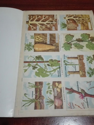 Grade D Sticker Album used, natural history