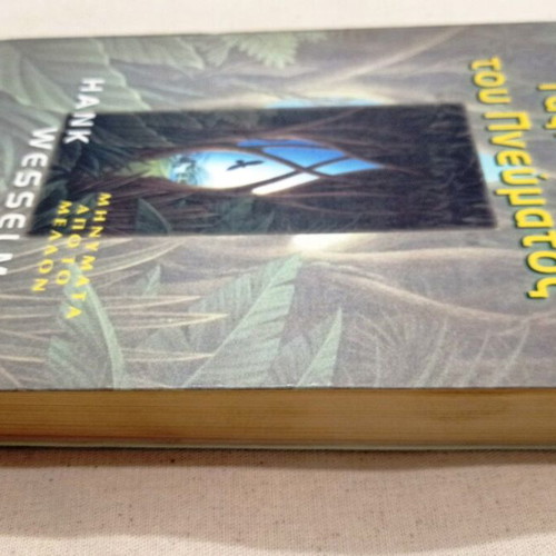 Spirit Walker by Hank Wesselman like new, spiritual search book