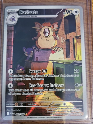 Raticate Illustration Rare Perfect Order card new