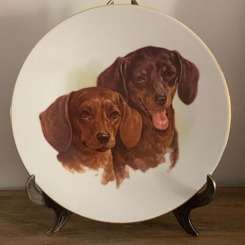 Decorative porcelain plate England Labrador dogs vintage like new