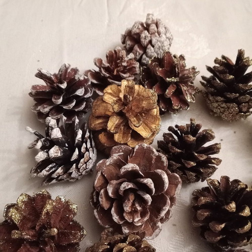 Decorative pine cones new, pack of 20 with glitter