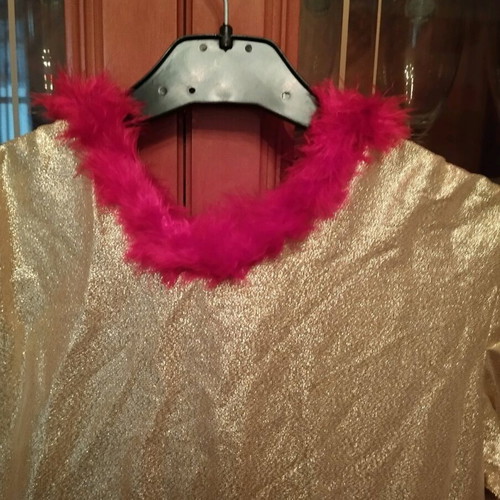 Carnival costume Queen size 10 like new