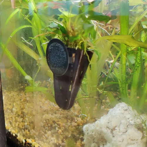 Aquarium hanging conical plant pot new