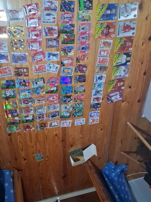 Rare collectible cards new