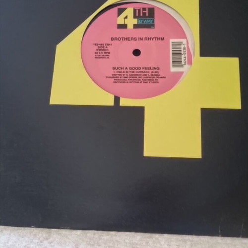 Brothers in Rhythm vinyl used