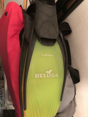 Fins used, size 36-39