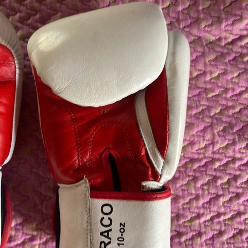 Benlee Rocky Marciano Draco 10oz boxing gloves