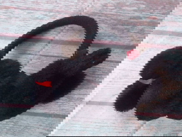ΓΟΥΝΙΝΑ ΠΑΙΔΙΚΑ ΑΥΤΑΚΙΑ DISNEY MINNIE MOUSE HM