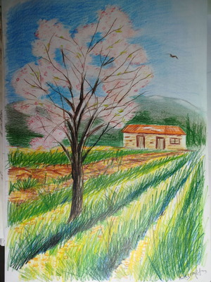 Farm drawing with watercolor pencils new 30x40 cm