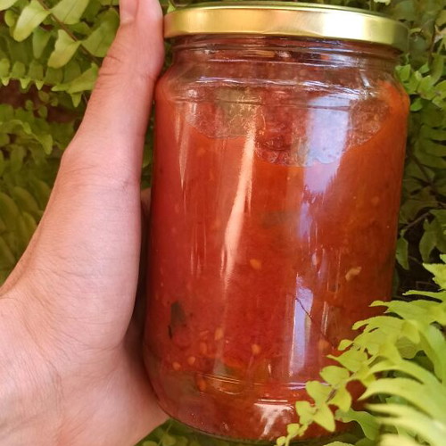 Tomato sauce 100% village tomatoes 1L or 720ml new