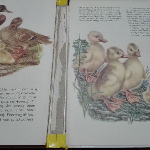 Stratiki School Animal Encyclopedia used