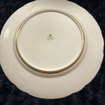 Magna decorative plate new