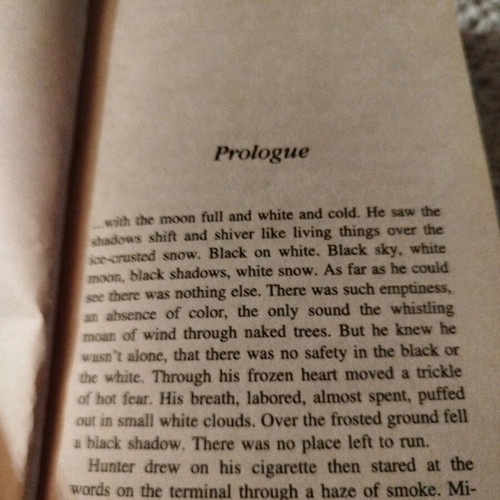 Nora Roberts Summer Pleasures book used
