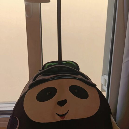 Sammies by Samsonite panda children's wheeled suitcase