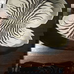  Γυαλια ηλιου roberto cavalli