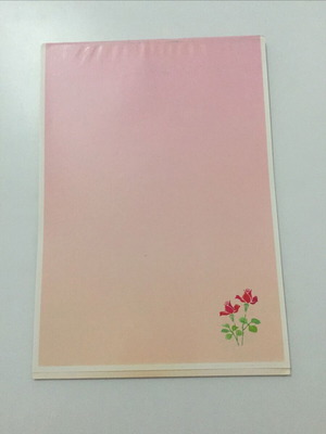 Correspondence pad new with many sheets