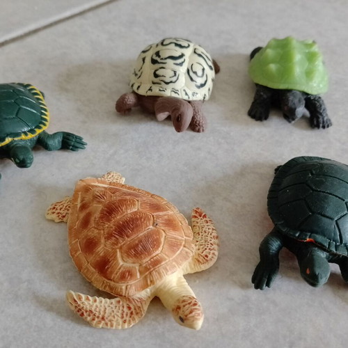 Plastic turtle figures used, set of 5