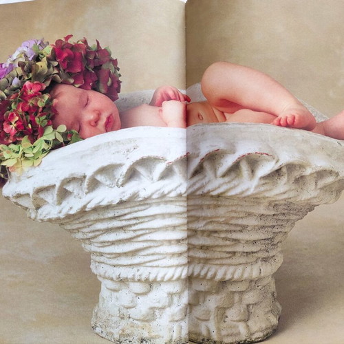 The Garden Treasures Anne Geddes book like new